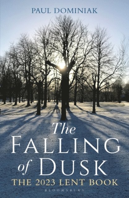 Paul Anthony Dominiak - Falling of Dusk, E-bok