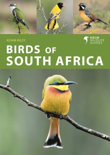 Adam Riley - Birds of South Africa, E-bok
