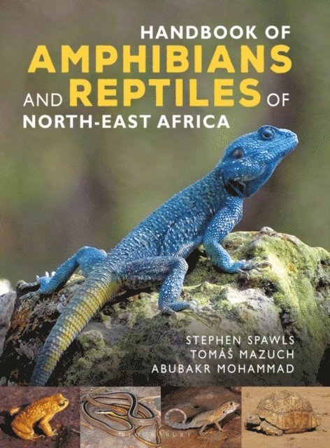 Stephen Spawls, Abubakr Mohammad, Tomáš Mazuch - Handbook of Amphibians and Reptiles of North-east Africa, E-bok