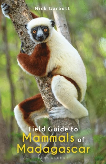 Nick Garbutt - Field Guide to Mammals of Madagascar, E-bok