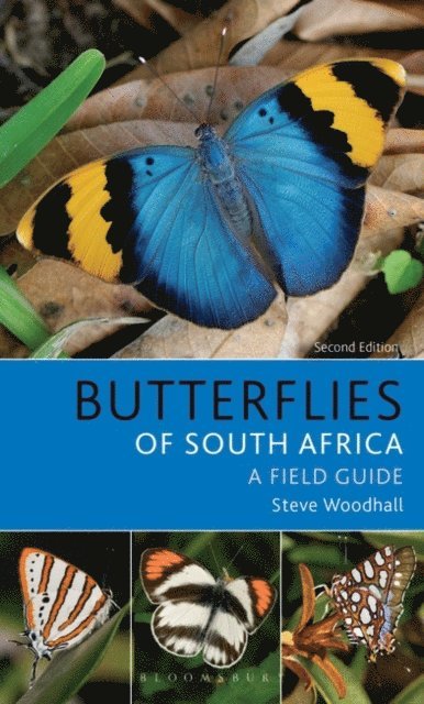 Steve Woodhall - Field Guide to Butterflies of South Africa, E-bok