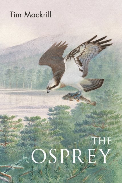 Tim Mackrill - Osprey, E-bok
