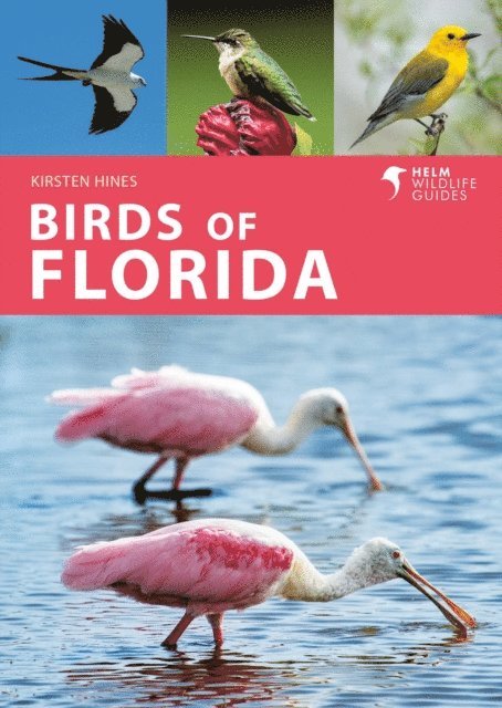 Kirsten Hines - Birds of Florida, E-bok