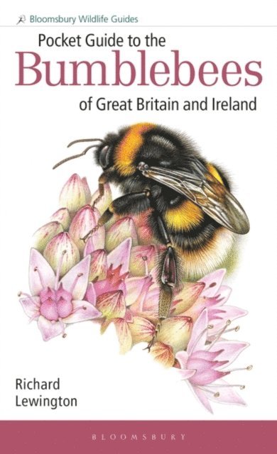 Richard Lewington - Pocket Guide to the Bumblebees of Great Britain and Ireland, E-bok