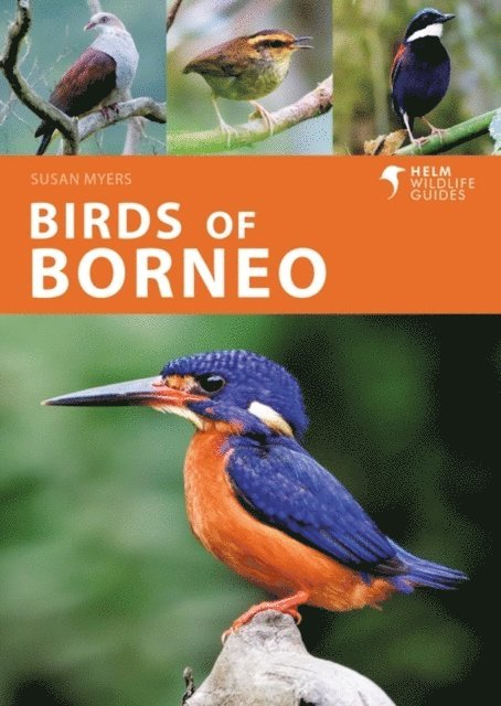 Susan Myers - Birds of Borneo, E-bok