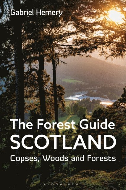 Gabriel Hemery - Forest Guide: Scotland, E-bok