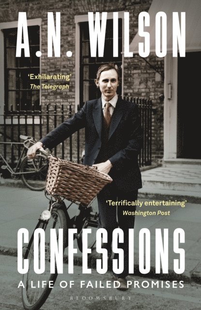 A. N. Wilson - Confessions, E-bok