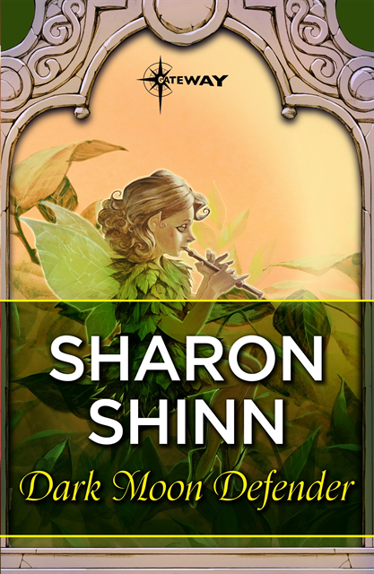 Sharon Shinn - Dark Moon Defender, E-bok