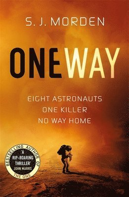 One Way av S J Morden