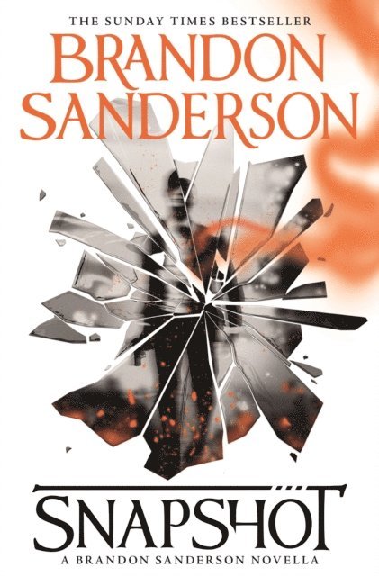 Brandon Sanderson - Snapshot, E-bok