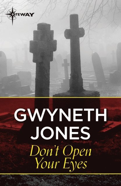 Ann Halam, Gwyneth Jones - Don't Open Your Eyes, E-bok