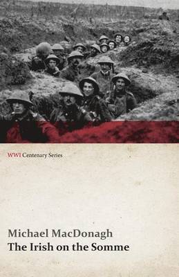 Michael MacDonagh - Irish on the Somme (WWI Centenary Series), Häftad. Tillgänglighet: Lägg i varukorg