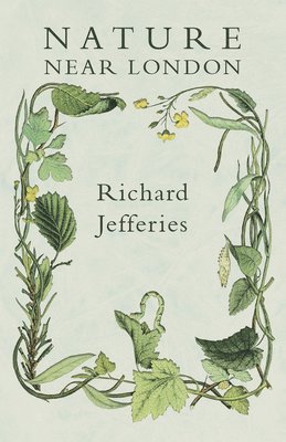 Richard Jefferies - Nature Near London, Häftad