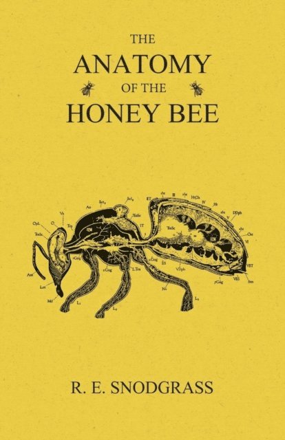 R. E. Snodgrass - Anatomy of the Honey Bee, E-bok. Tillgänglighet: Lägg i varukorg
