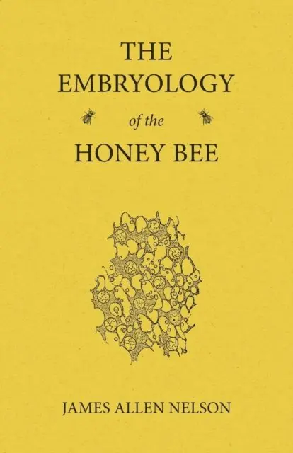 Embryology of the Honey Bee