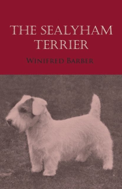 Sealyham Terrier