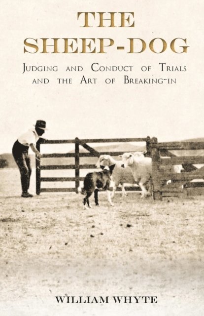 William Whyte - Sheep-Dog - Judging and Conduct of Trials and the Art of Breaking-in, E-bok