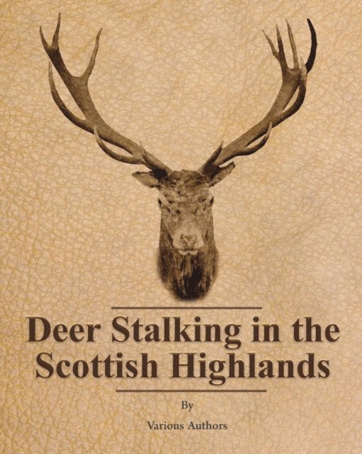 Deer Stalking in the Scottish Highlands
