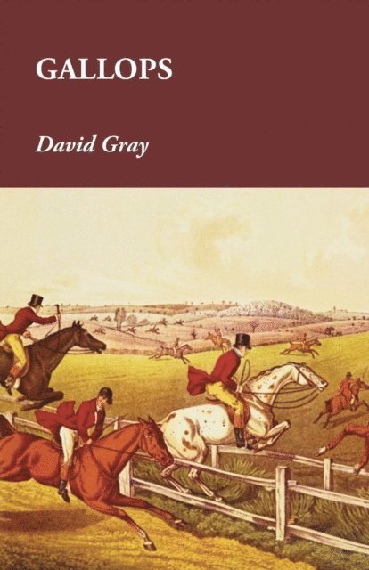 David Gray - Gallops, E-bok