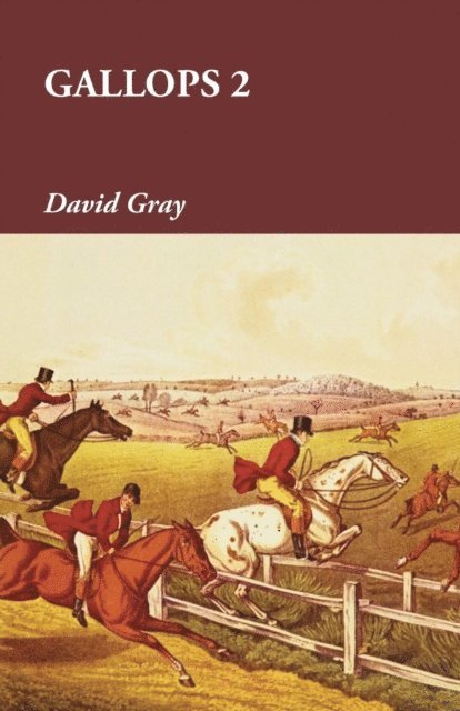 David Gray - Gallops 2, E-bok