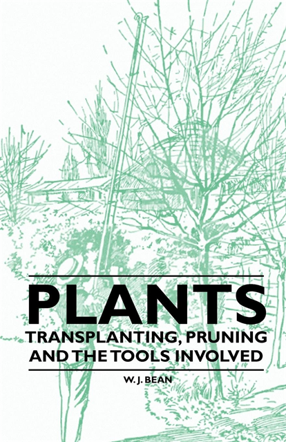 W. J. Bean - Plants - Transplanting, Pruning and the Tools Involved, E-bok