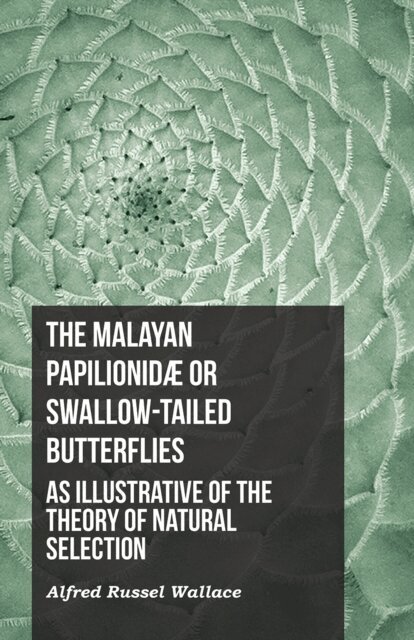 Alfred Russel Wallace - Malayan PapilionidA  or Swallow-tailed Butterflies, as Illustrative of the Theory of Natural Selection, E-bok