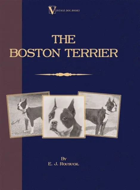 Boston Terrier (A Vintage Dog Books Breed Classic)