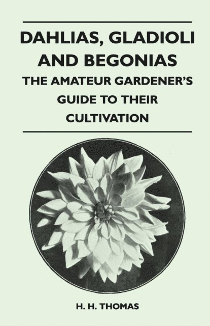 H. H. Thomas - Dahlias, Gladioli and Begonias, E-bok