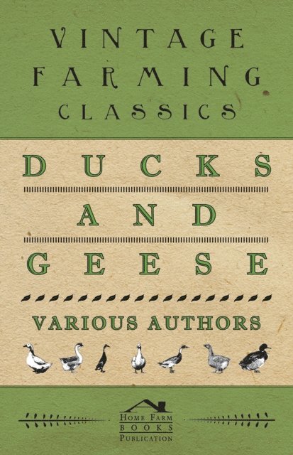 Harry M. Lamon - Ducks and Geese, E-bok