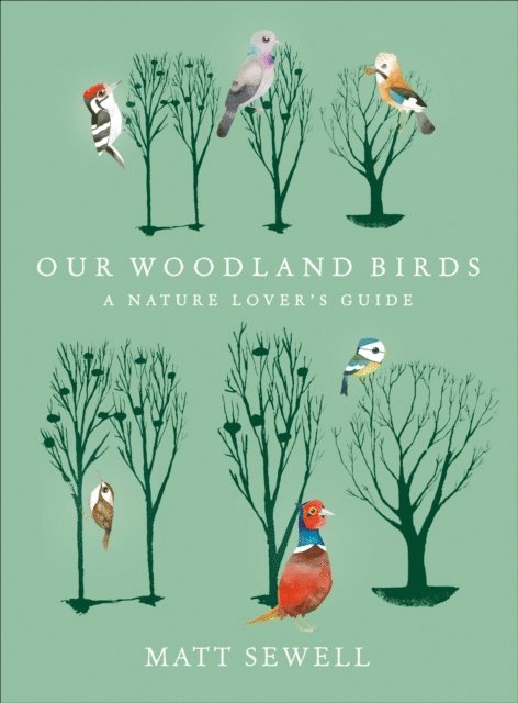 Matt Sewell - Our Woodland Birds, E-bok