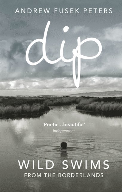 Andrew Fusek Peters - Dip, E-bok
