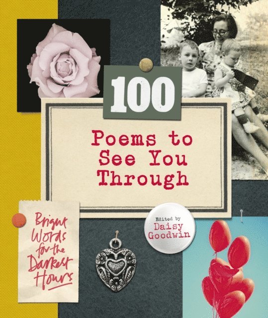 Daisy Goodwin - 100 Poems To See You Through, E-bok