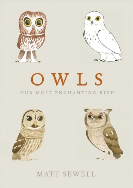 Matt Sewell - Owls, E-bok