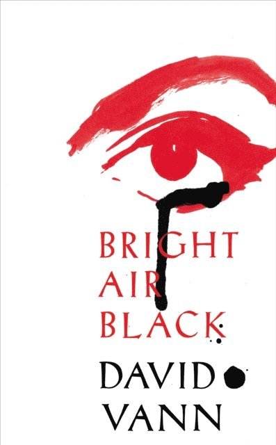 David Vann - Bright Air Black, E-bok. Tillgänglighet: Lägg i varukorg