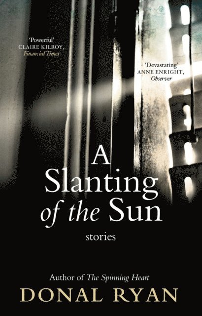 Donal Ryan - Slanting of the Sun: Stories, E-bok