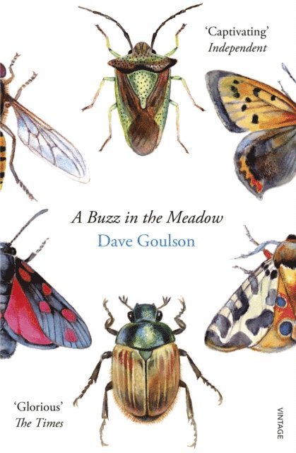 Dave Goulson - Buzz in the Meadow, E-bok