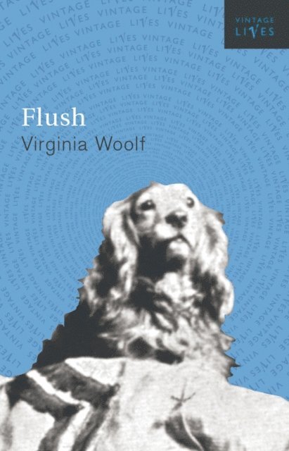 Virginia Woolf - Flush, E-bok