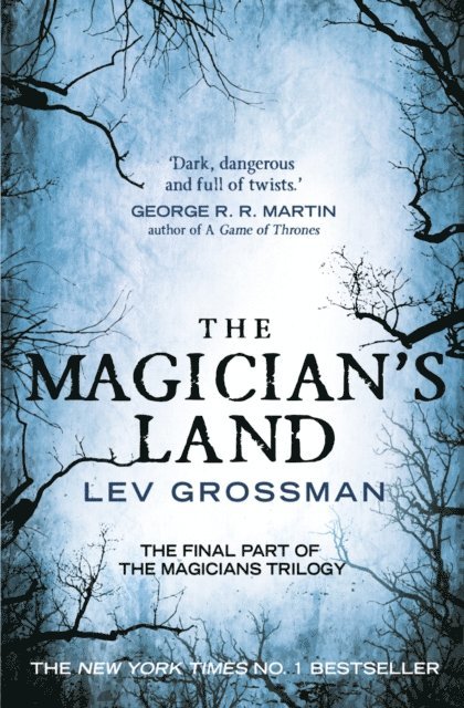 Lev Grossman - Magician's Land, E-bok
