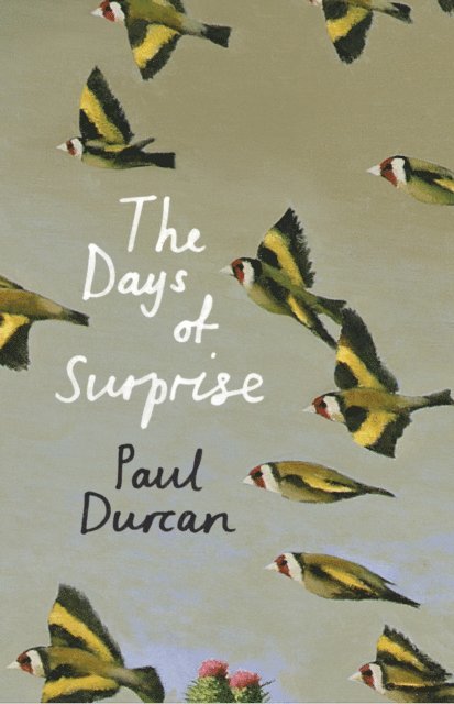 Paul Durcan - Days of Surprise, E-bok