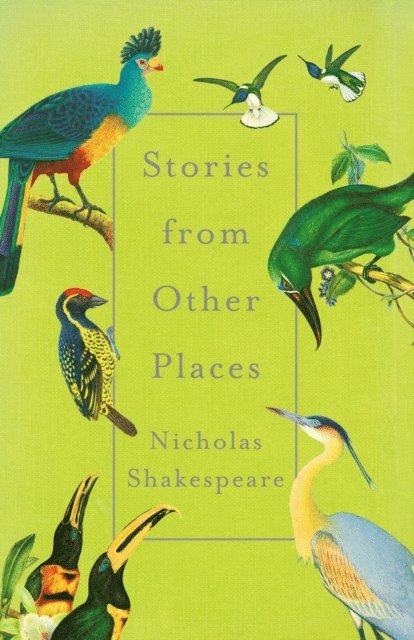 Nicholas Shakespeare - Stories from Other Places, E-bok