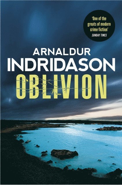 Arnaldur Indridason - Oblivion, E-bok