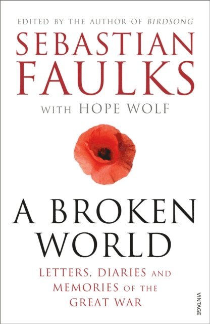 Sebastian Faulks, Hope Wolf - Broken World, E-bok