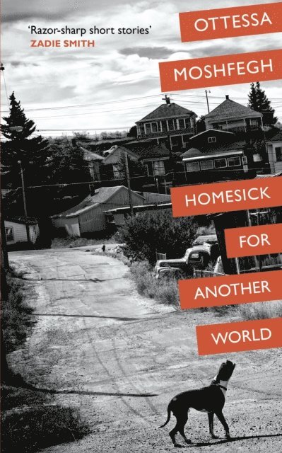Ottessa Moshfegh - Homesick For Another World, E-bok
