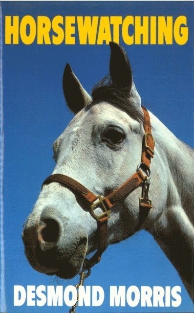 Desmond Morris - Horsewatching, E-bok