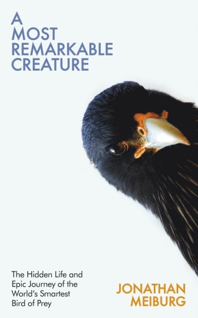 Jonathan Meiburg - Most Remarkable Creature, E-bok