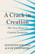 Crack in Creation