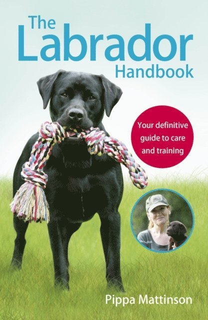 Pippa Mattinson - Labrador Handbook, E-bok
