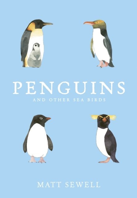 Matt Sewell - Penguins and Other Sea Birds, E-bok