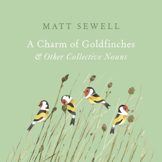 Matt Sewell - Charm of Goldfinches and Other Collective Nouns, E-bok