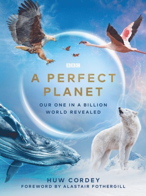 Huw Cordey - Perfect Planet, E-bok